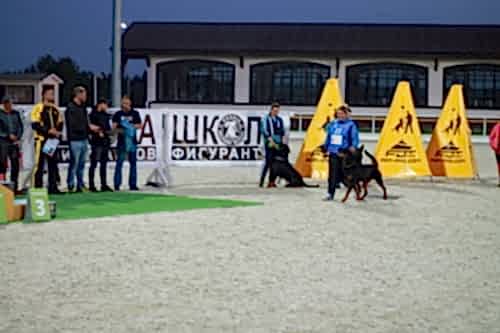 Чемпионат Казахстан по IGP, 23-26 мая 2019